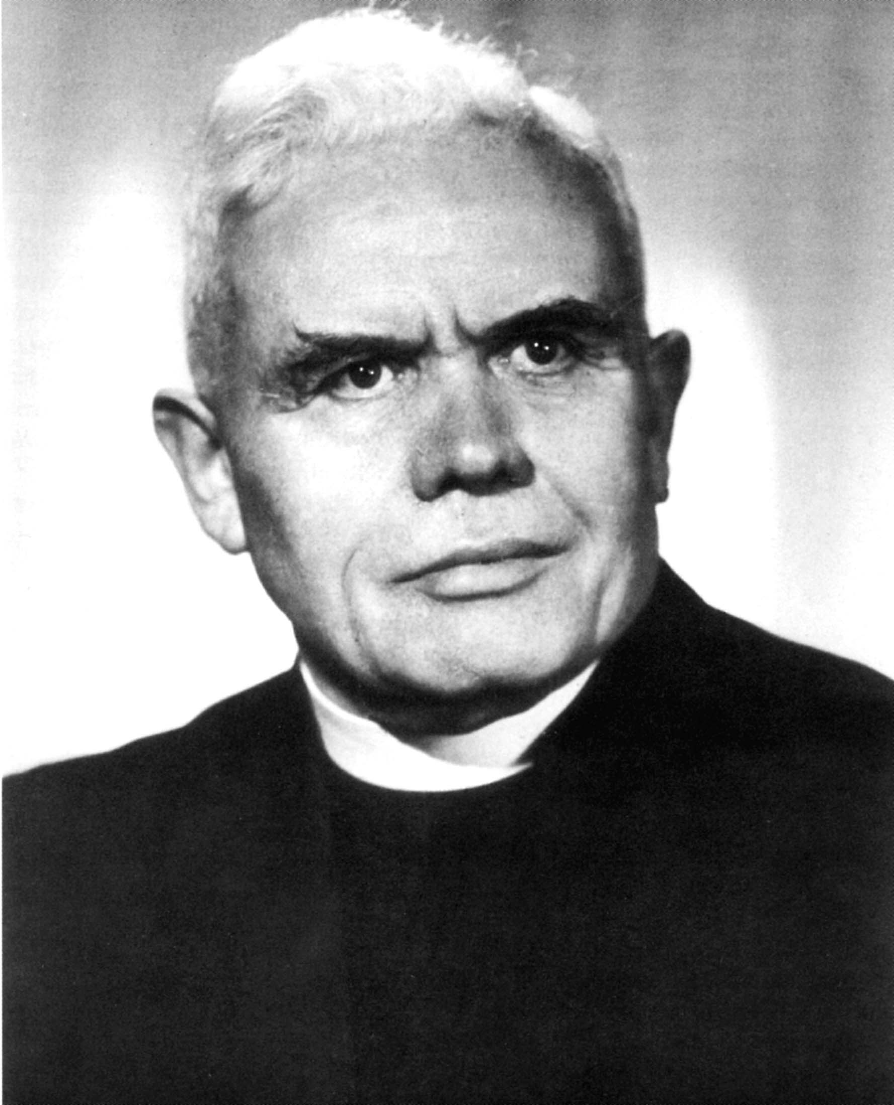 Kanonikus Michael Gamper. (Bild Archiv)